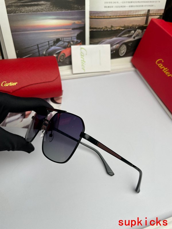 Cartier Luxury Sunglasses