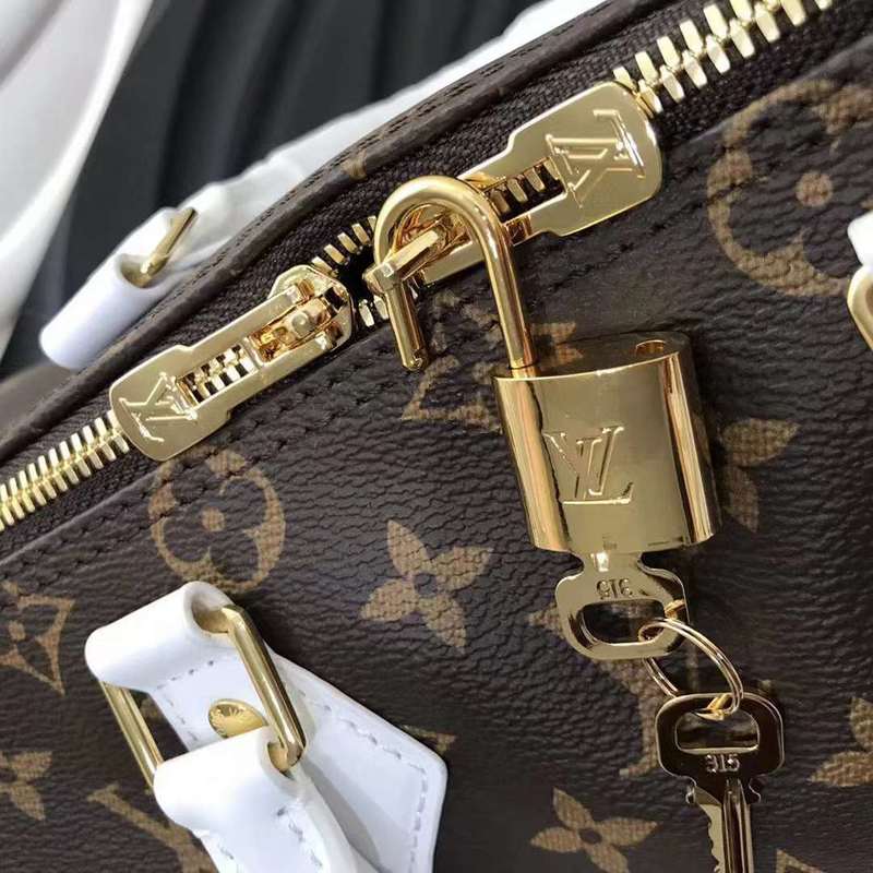 LOV2 Bags - Luxurious Bags  527