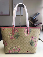 new-designer-premium-bags-nm6445