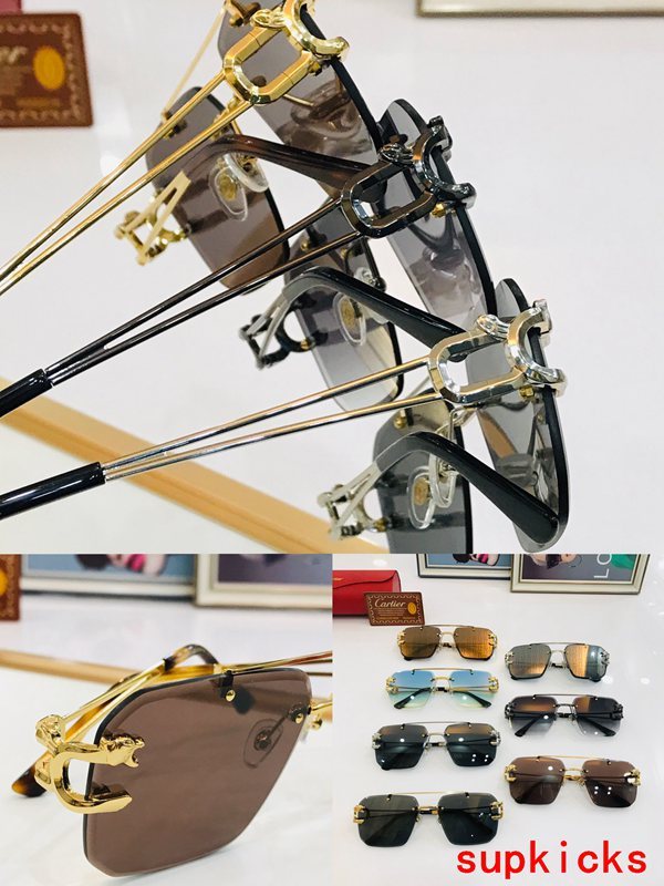 Cartier Luxury Sunglasses