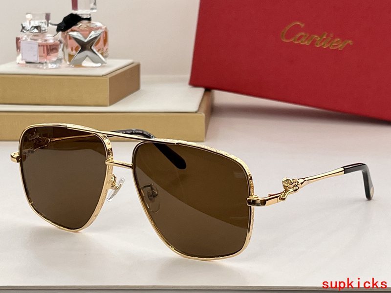 Cartier Luxury Sunglasses