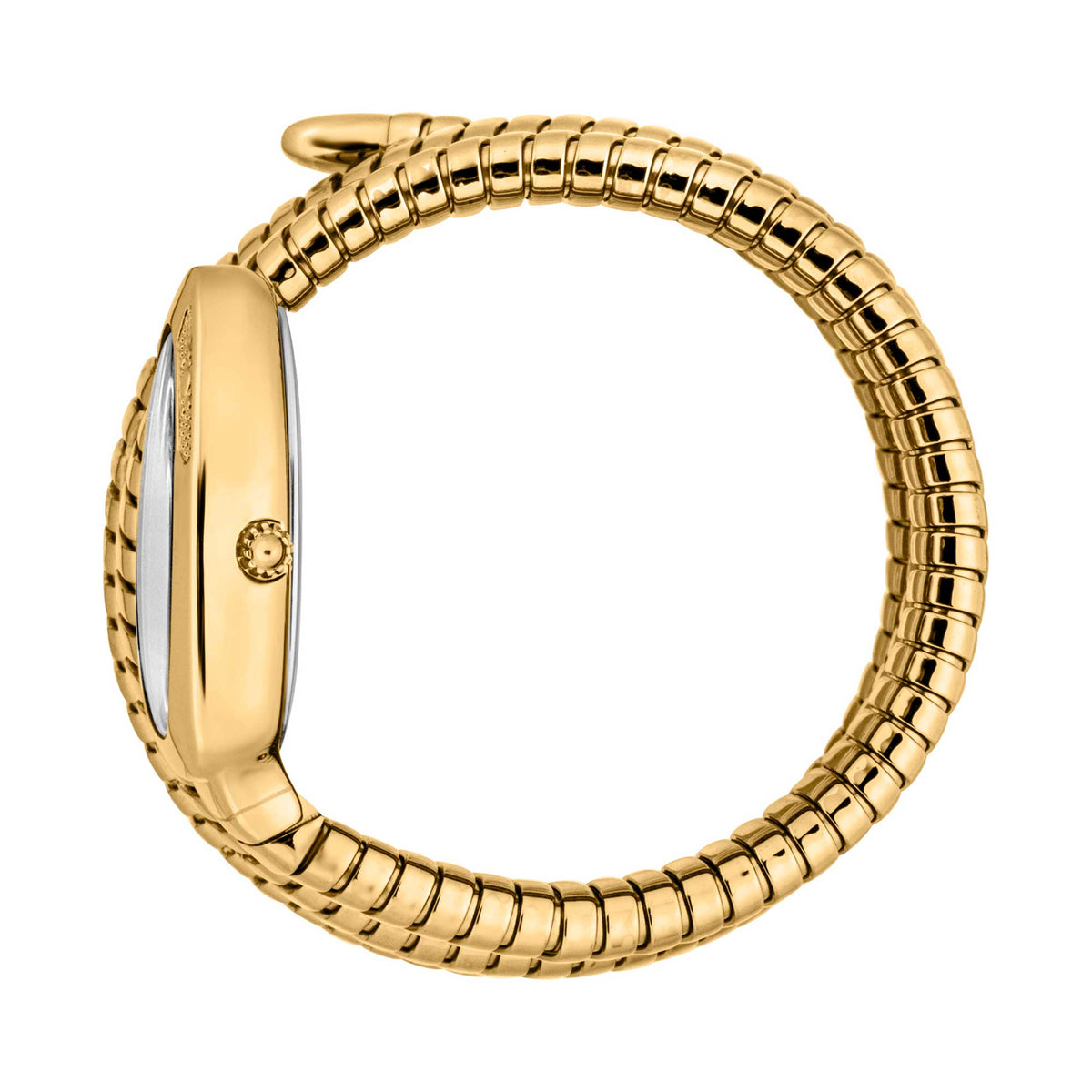 Just Cavalli Women's JC1L232M0025 Signature Snake 22mm Watch