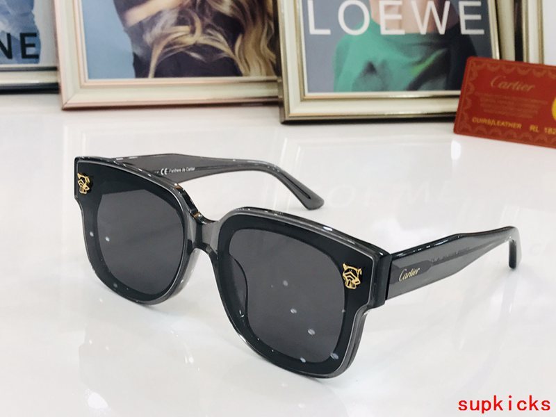 Cartier Luxury Sunglasses