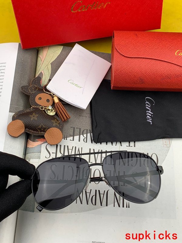 Cartier Luxury Sunglasses