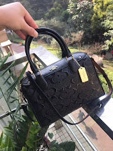 new-luxury-designer-bags-nm6406
