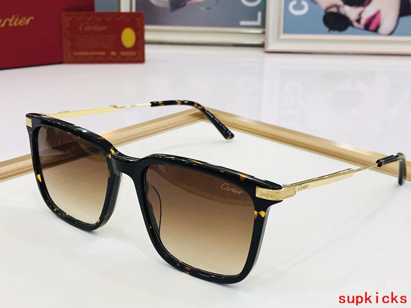 Cartier Luxury Sunglasses