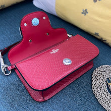 new-luxury-designer-bags-nm2820