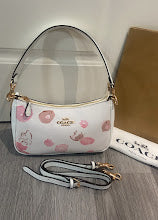 new-designer-premium-bags-nm6538