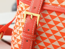 new-luxury-designer-bags-nm2220