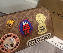 new-designer-premium-bags-nm6630