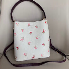 new-designer-premium-bags-nm6286