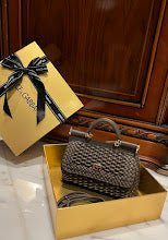 new-designer-premium-bags-nm6899