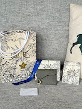 new-luxury-designer-bags-nm7506