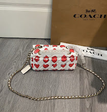 new-luxury-designer-bags-nm6637