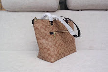 new-designer-premium-bags-nm6390