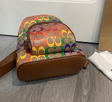 new-luxury-designer-bags-nm6518