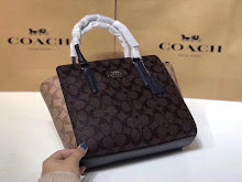 new-designer-premium-bags-nm6464