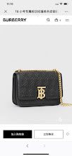 new-designer-premium-bags-nm5628