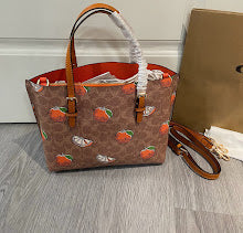 new-elite-designer-bags-nm6301