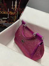 new-designer-premium-bags-nm6691