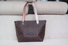 new-luxury-designer-bags-nm6359