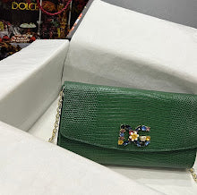 new-designer-premium-bags-nm6880