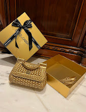 new-designer-premium-bags-nm6893