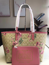 new-designer-premium-bags-nm6445