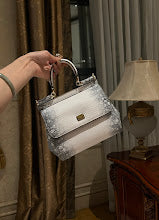new-luxury-designer-bags-nm6900