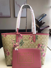 new-designer-premium-bags-nm6445