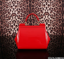 new-designer-premium-bags-nm6962