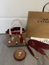 new-designer-premium-bags-nm6298