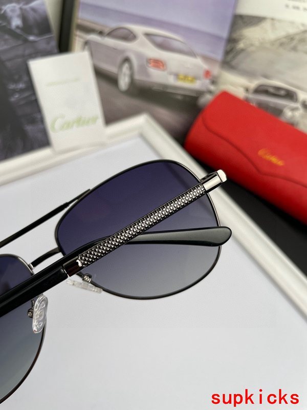 Cartier Luxury Sunglasses