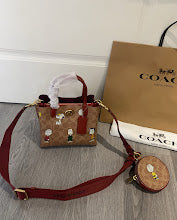 new-designer-premium-bags-nm6298