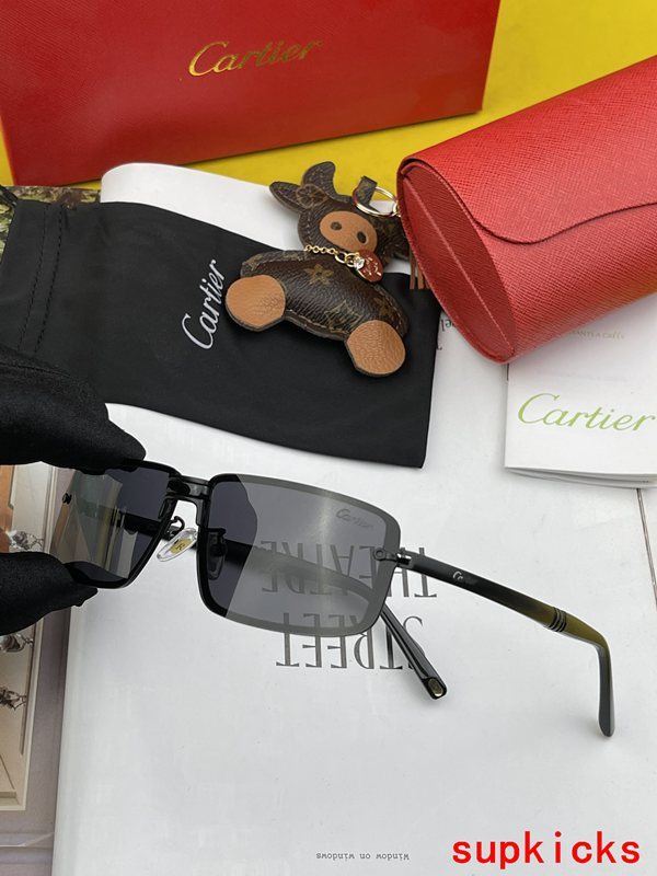 Cartier Luxury Sunglasses