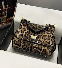 new-designer-premium-bags-nm6877