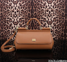 new-designer-premium-bags-nm7026