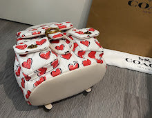new-designer-premium-bags-nm6636