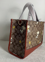 new-luxury-designer-bags-nm6586