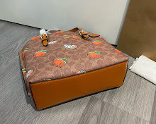 new-designer-premium-bags-nm6302