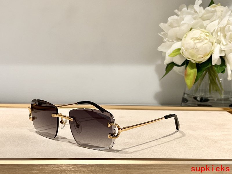Cartier Luxury Sunglasses