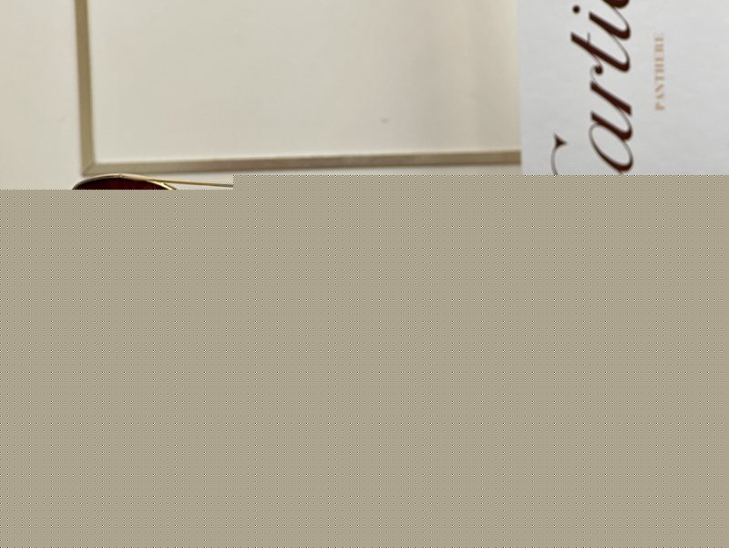 Cartier Luxury Sunglasses