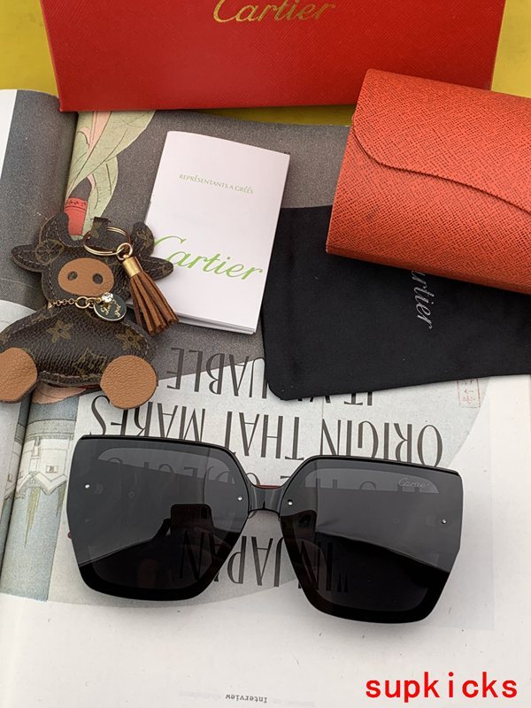 Cartier Luxury Sunglasses