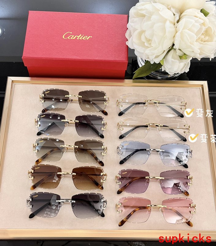 Cartier Luxury Sunglasses