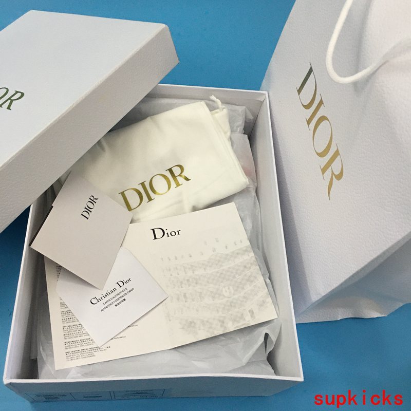Dior Luxury Shoes