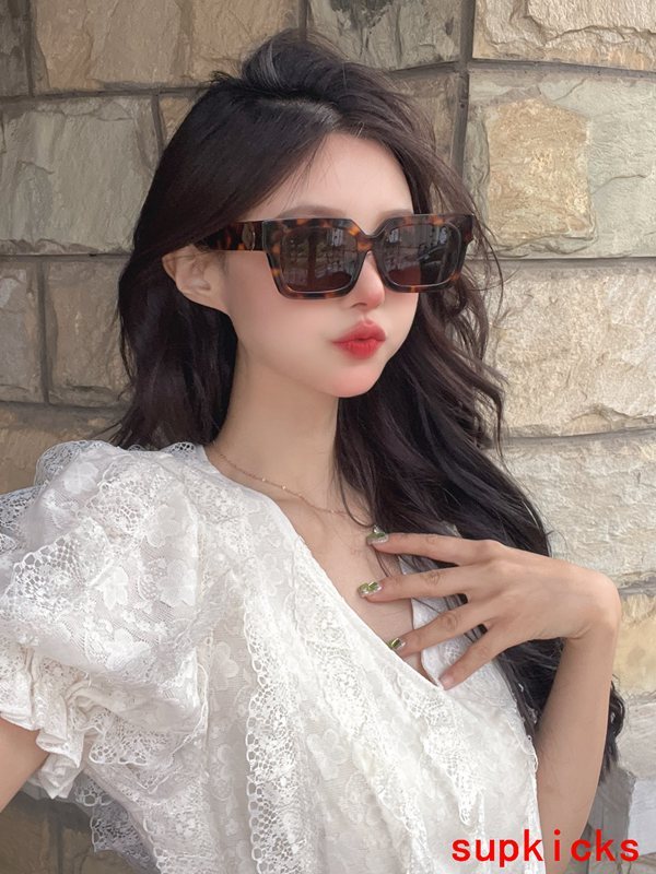 Louis Vuittion Luxury Sunglasses