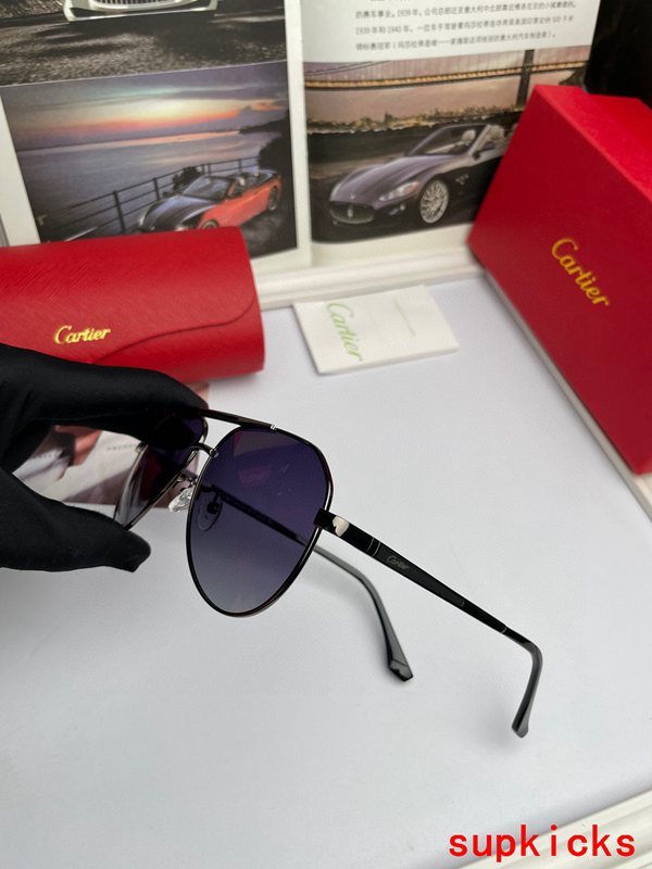 Cartier Luxury Sunglasses
