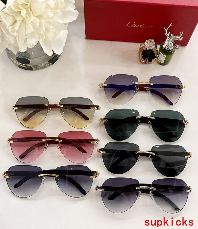 Cartier Luxury Sunglasses