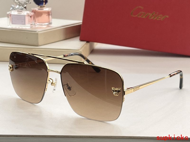 Cartier Luxury Sunglasses
