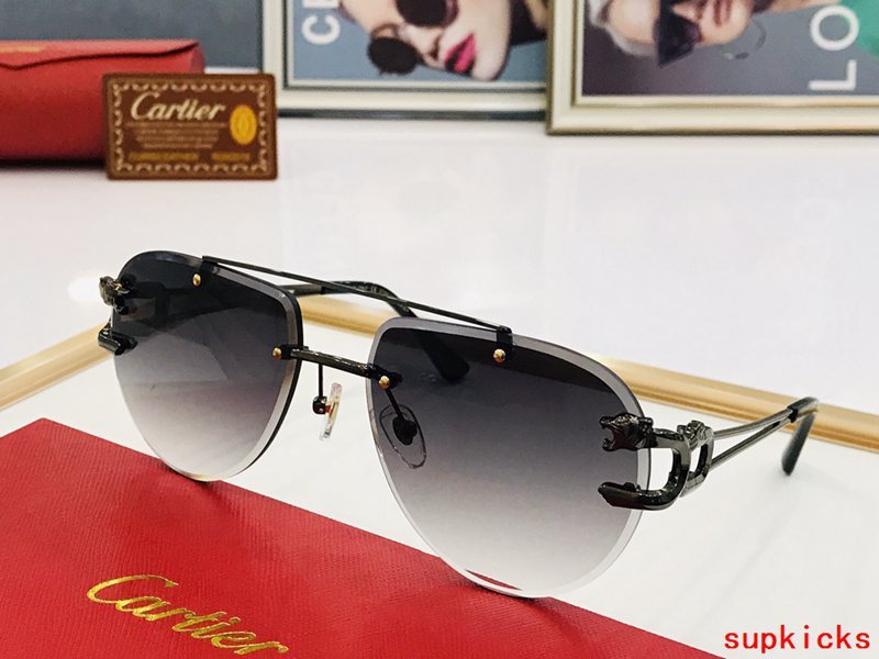 Cartier Luxury Sunglasses
